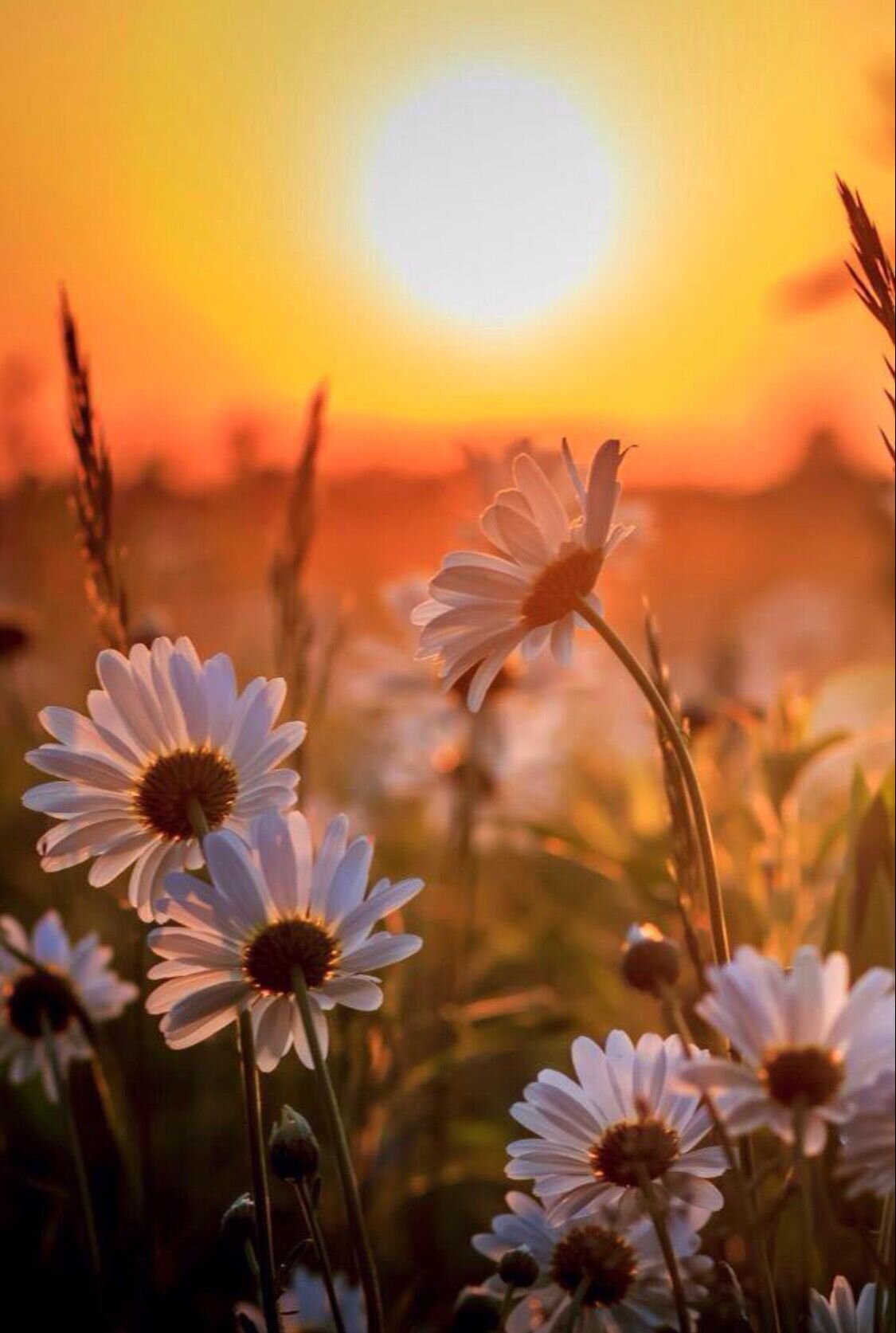 2 de abril: Viernes Santo