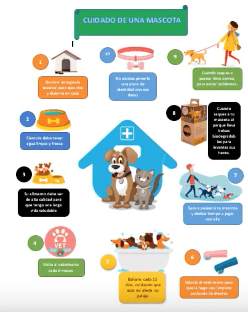 5. Longitud del contenido