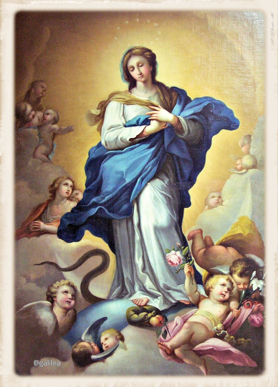 8 de diciembre: Inmaculada Concepción