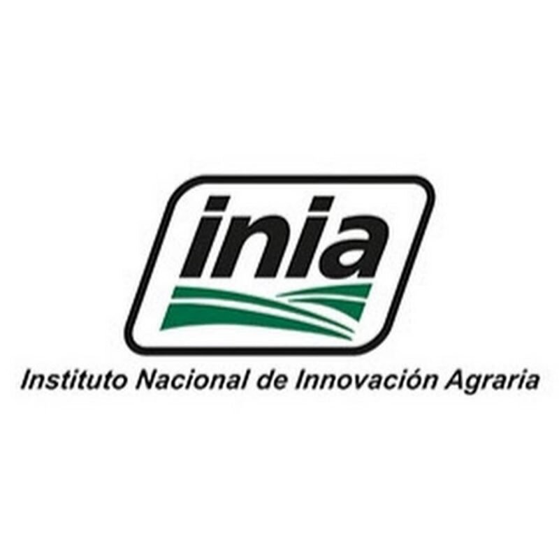 ACTIVIDAD DEL INTIA