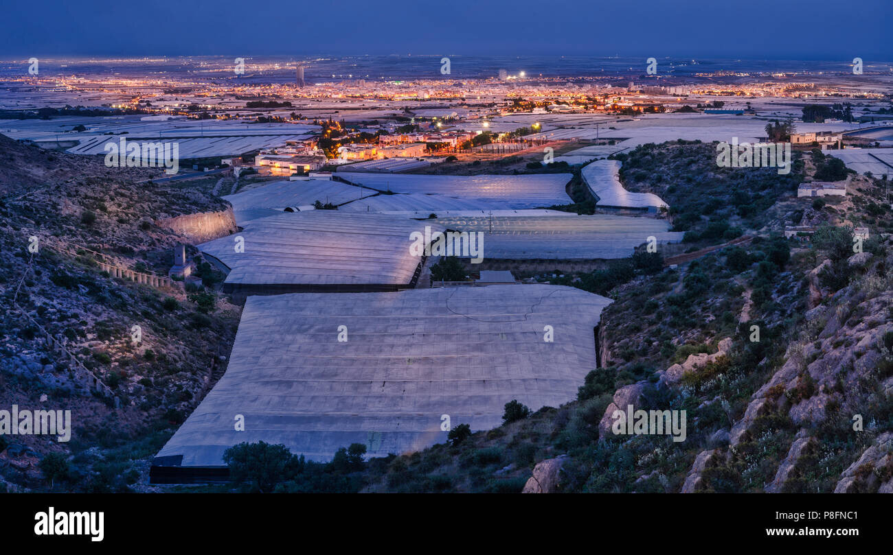 Almería es el país con más resultados positivos, con 964 casos, seguido de Sevilla con 936 casos