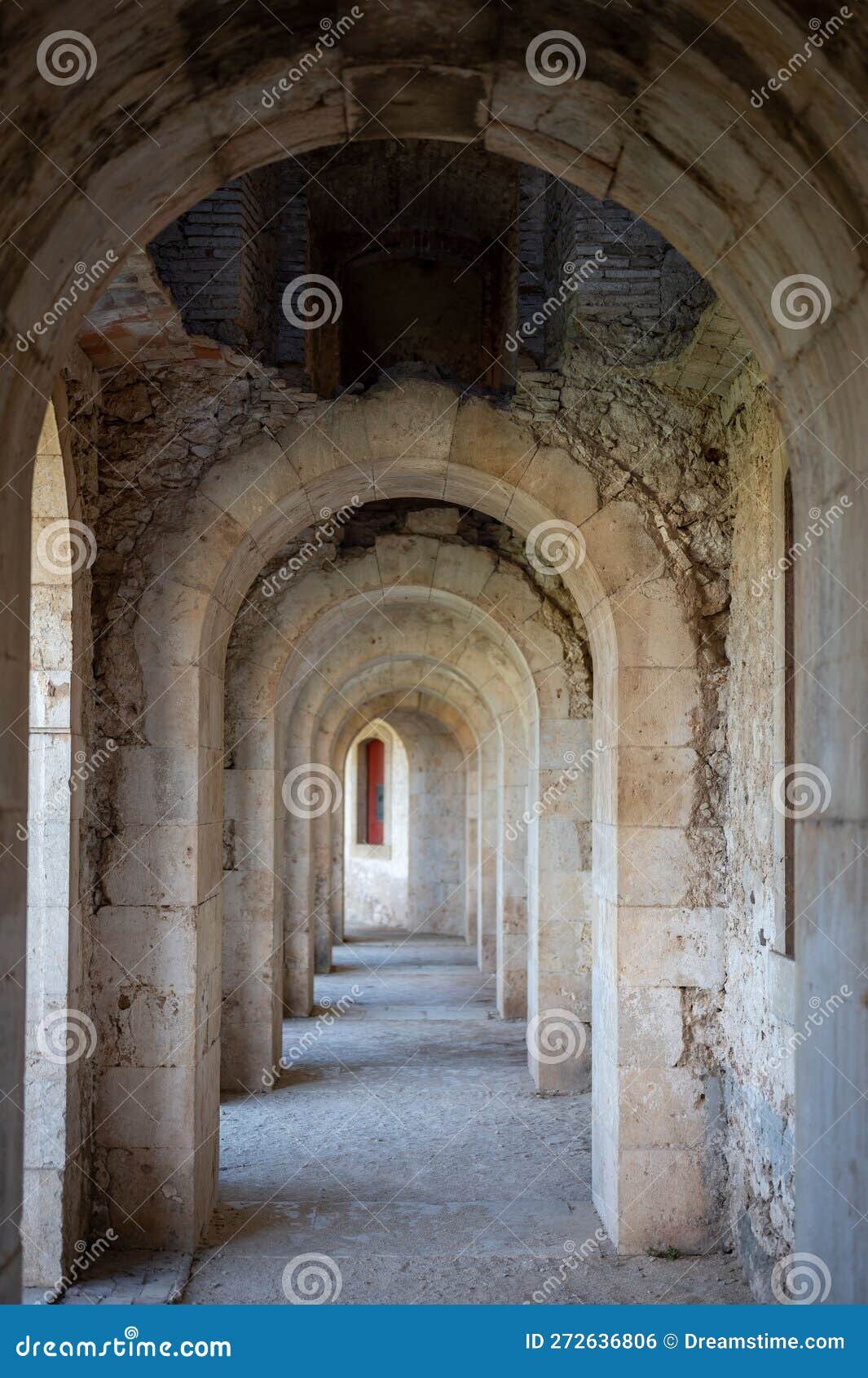 A Mariana encontró en Barreiros a uno que podría pertenecer al grupo que participó en una competición colombiana del Algarve al Oporto