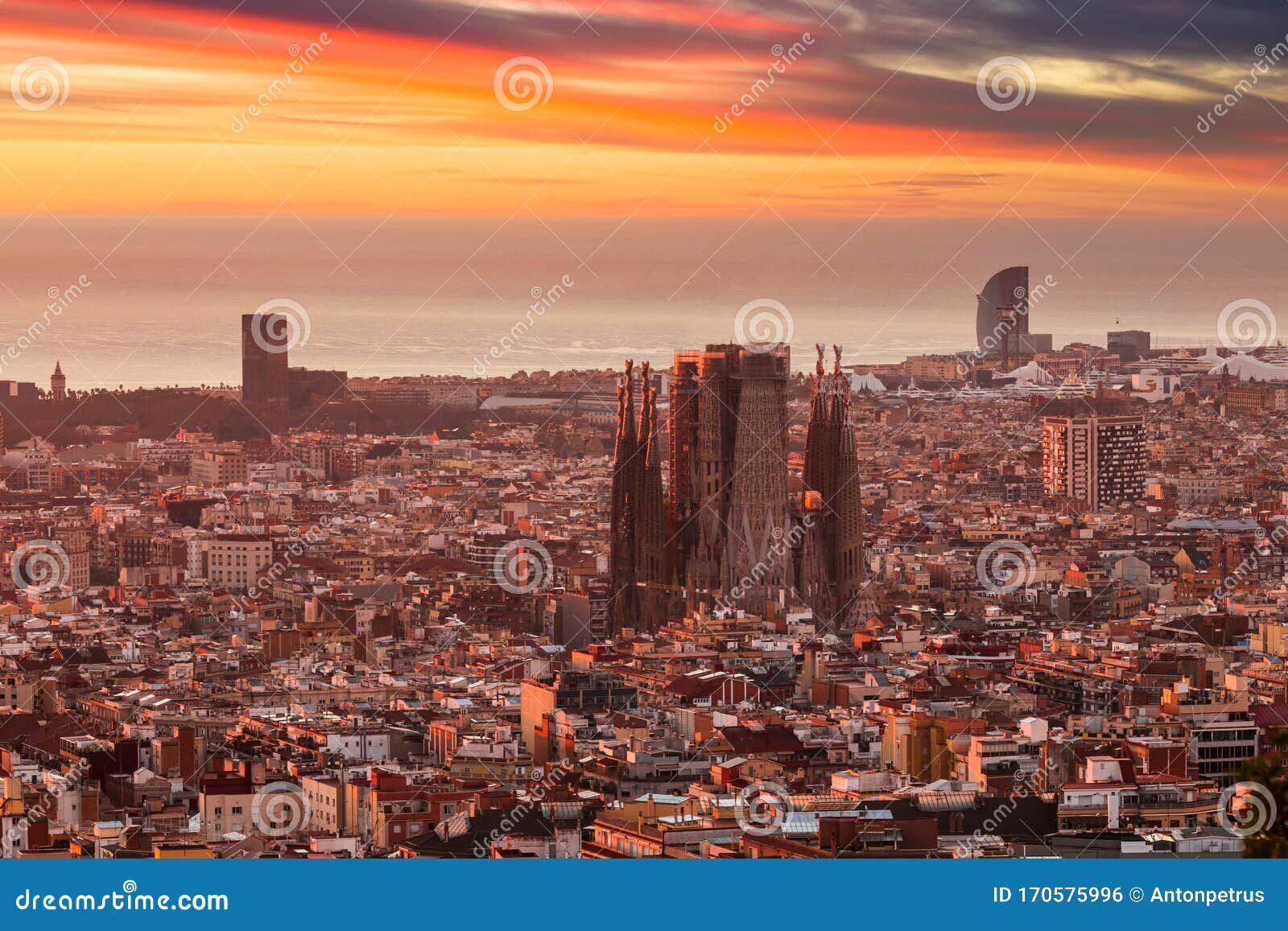 BARCELONA, 6 (EUROPE PRESS)