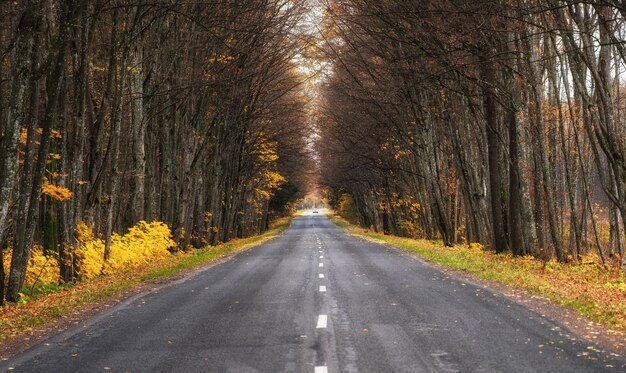 CARRETERA SEGURA