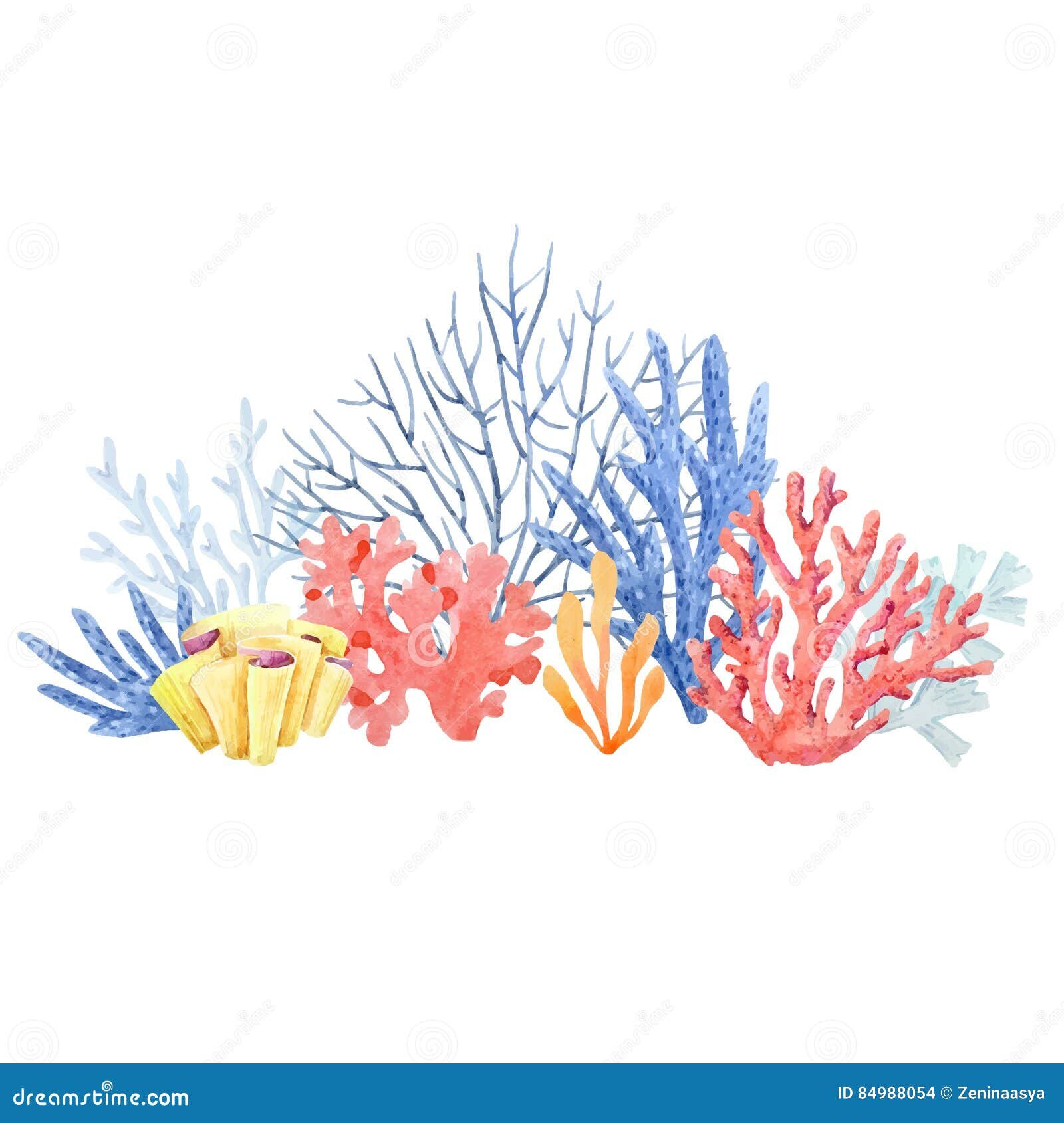 CICLO DEL CORAL DE LA RIBERA