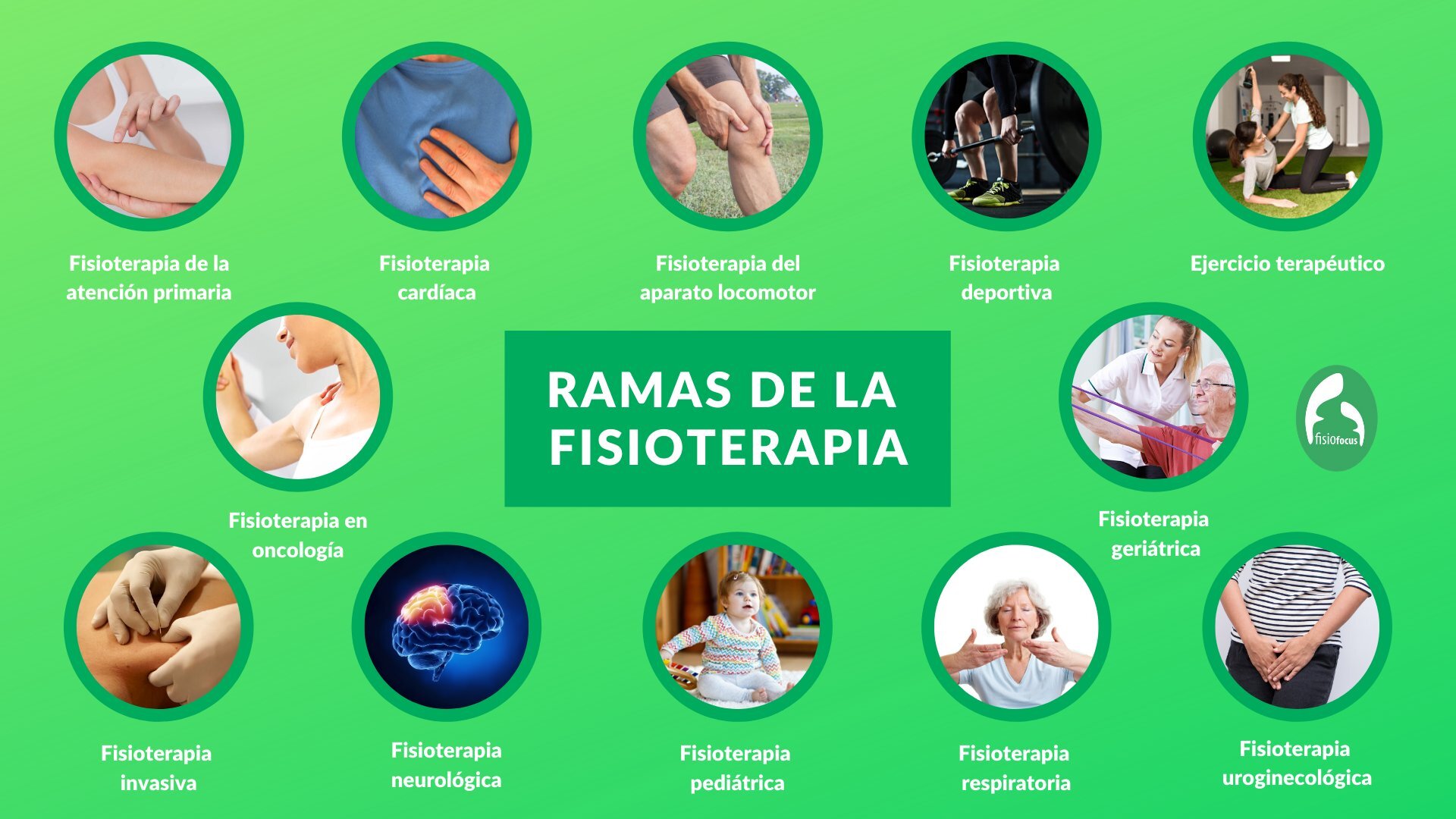 ¿Cuáles son las diferentes ramas de la fisioterapia?