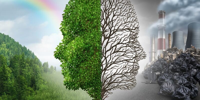 Daños a árboles y mobiliario urbano en otras partes de la ciudad