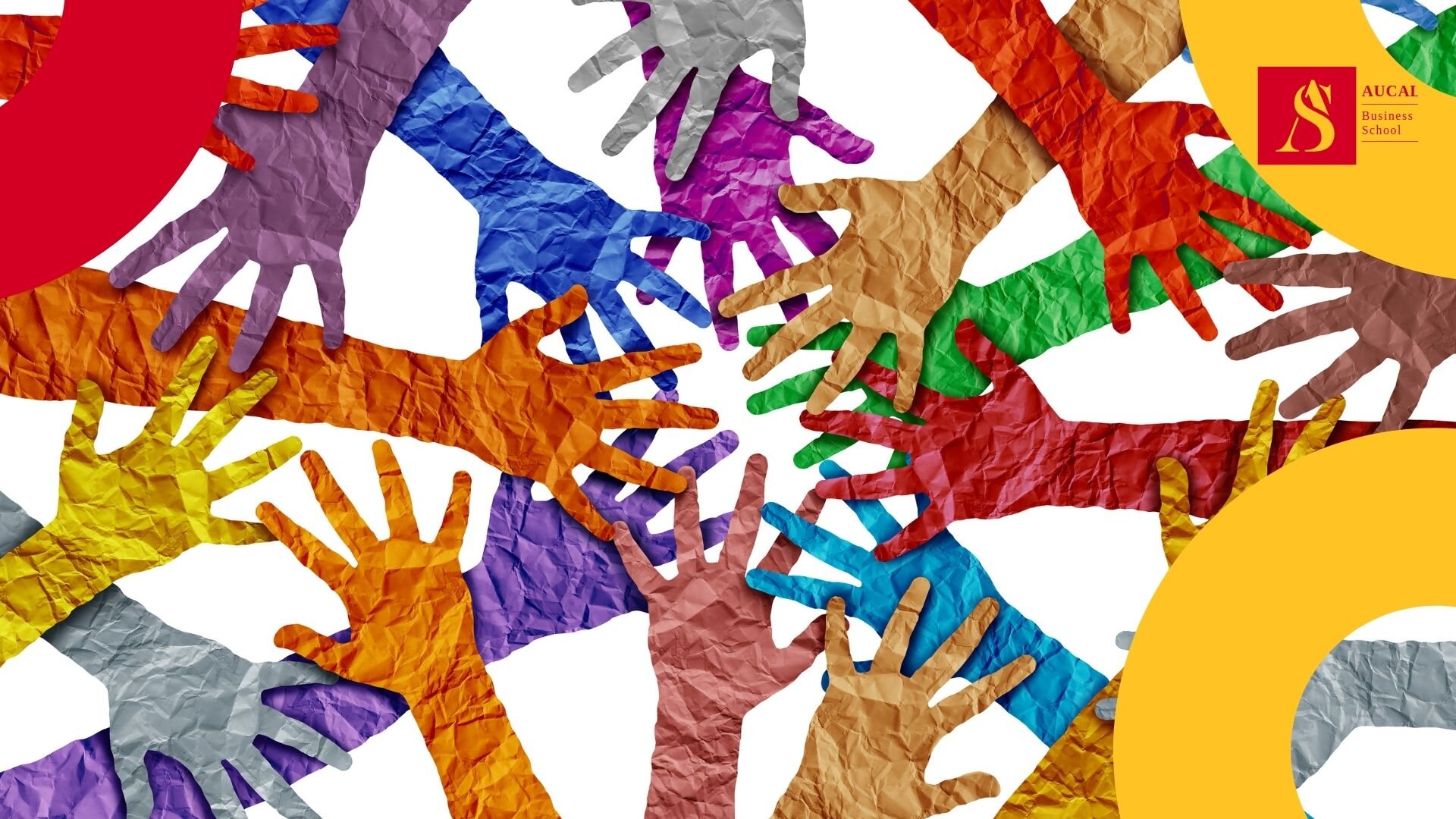 DIVERSIDAD DE LA INDUSTRIA