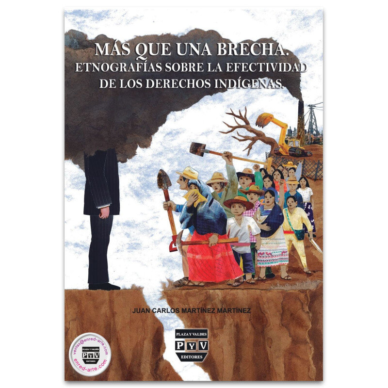 EFECTIVIDAD DE LOS DERECHOS DE REPRESENTACIÓN