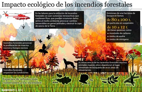 El 50% es intencional y el 25% es provocado por negligencia, según datos del Plan Infoex