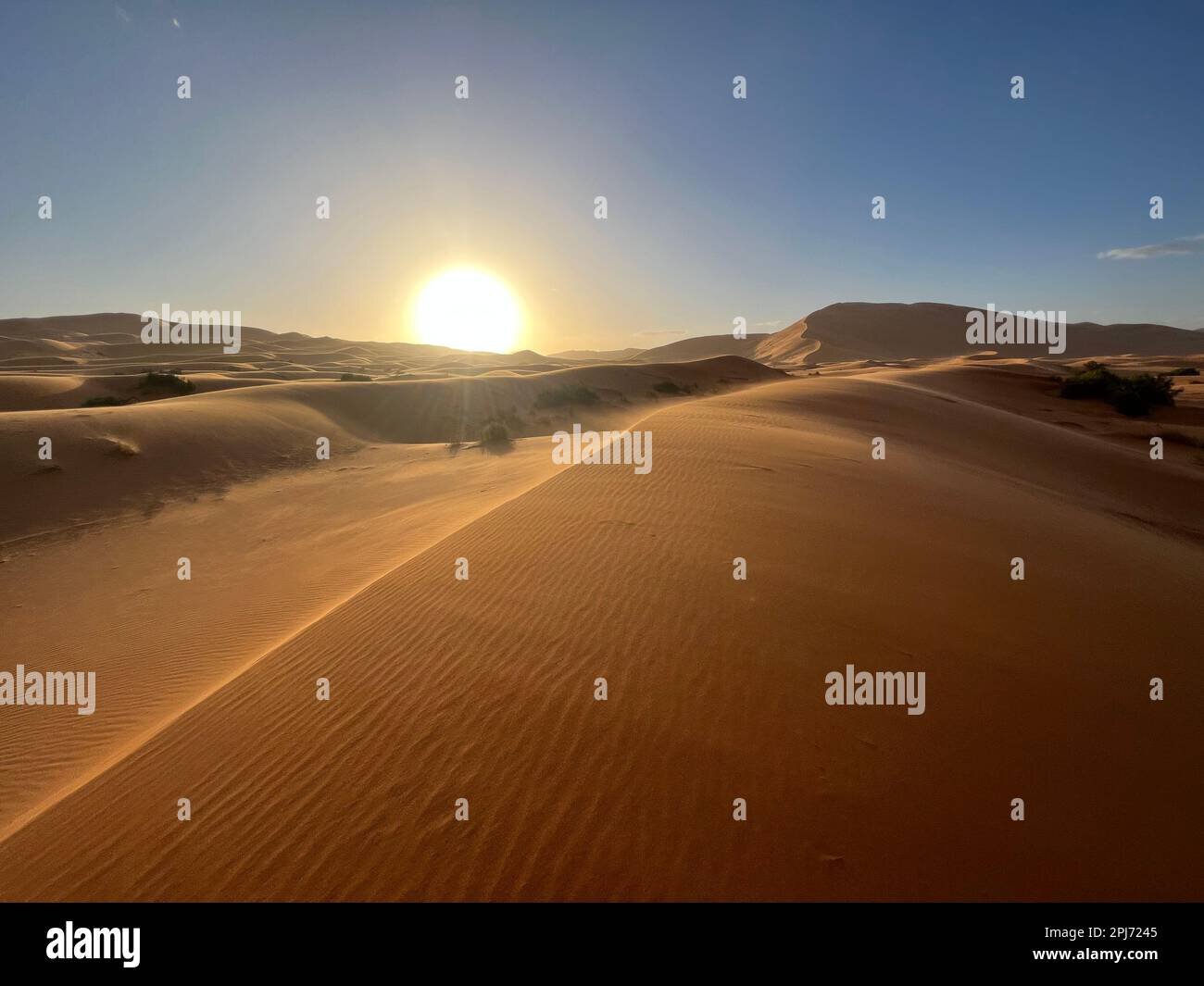 el desierto del Sahara