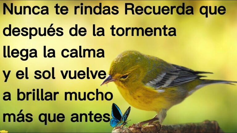 <em>Relacionado