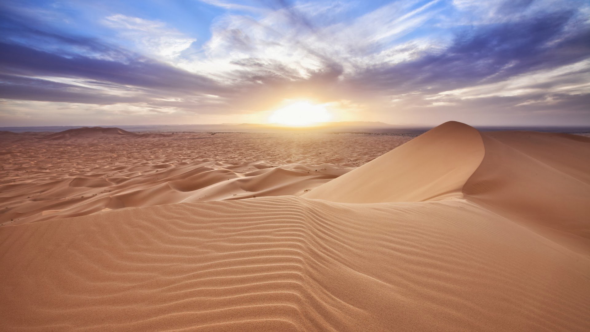 espinacas en el desierto