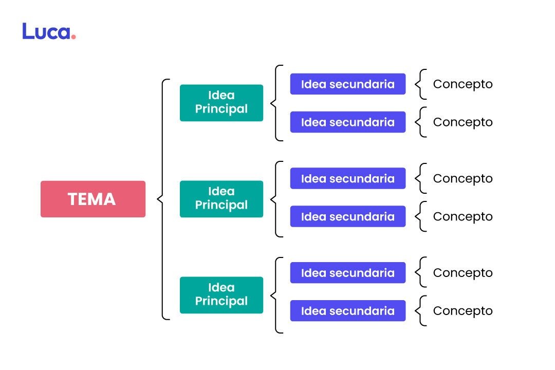 ESQUEMA ORGANIZATIVO