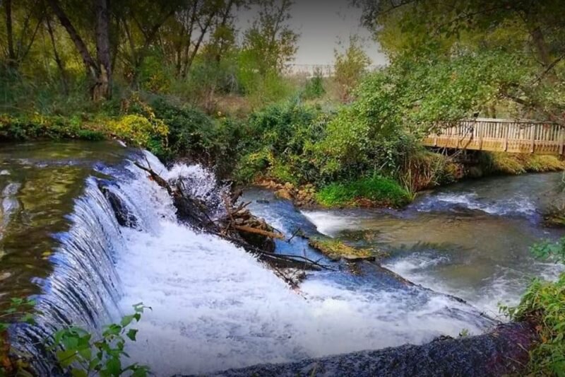Están ubicados en el área recreativa de El Tejar, como en 2020