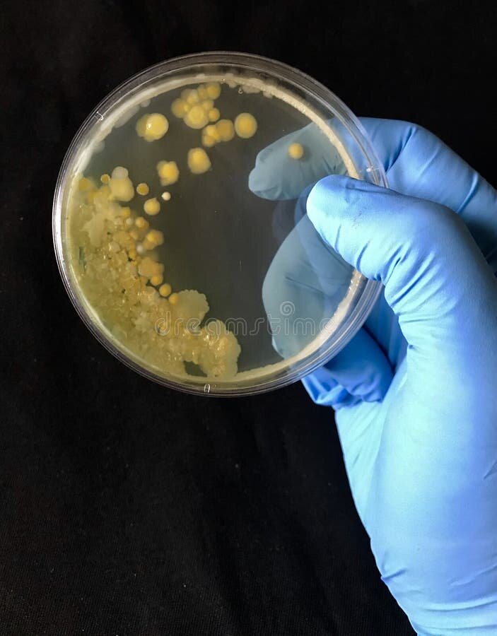 Es un indicio de contaminación bacteriana, propio de un producto que se ha estropeado por falta de frescura o mala conservación.
