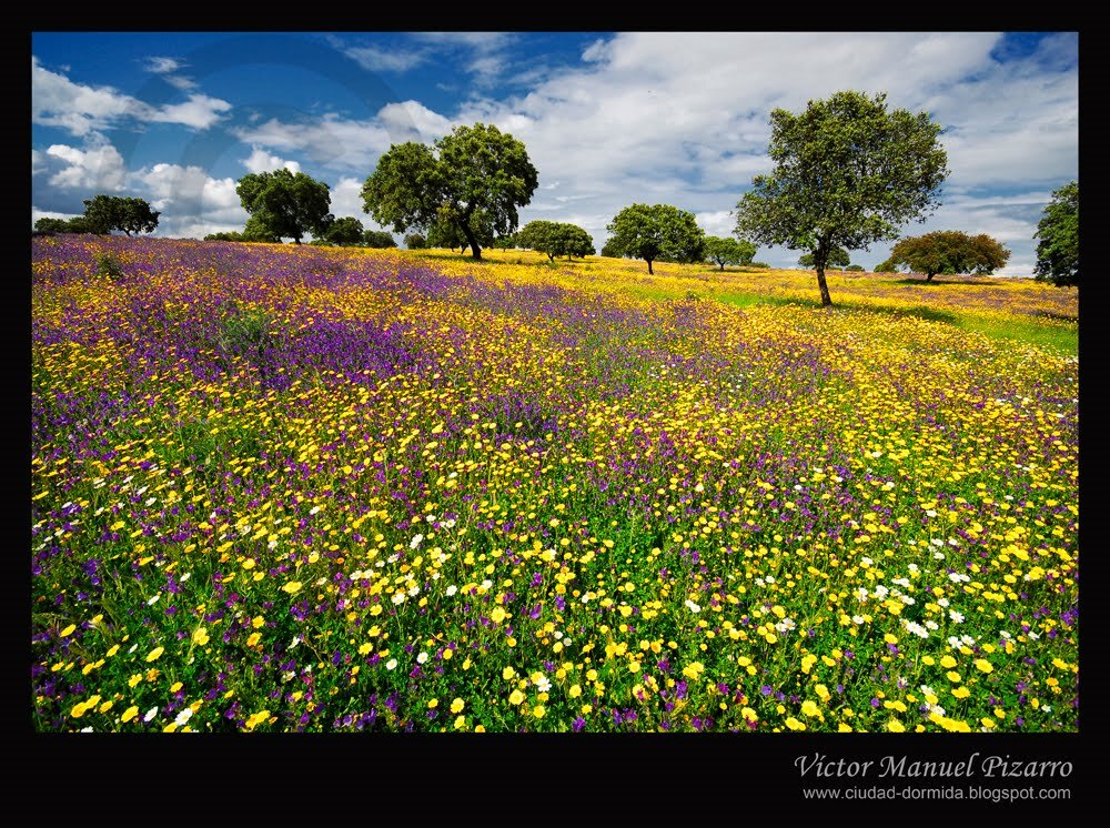 Extremadura para mujeres 