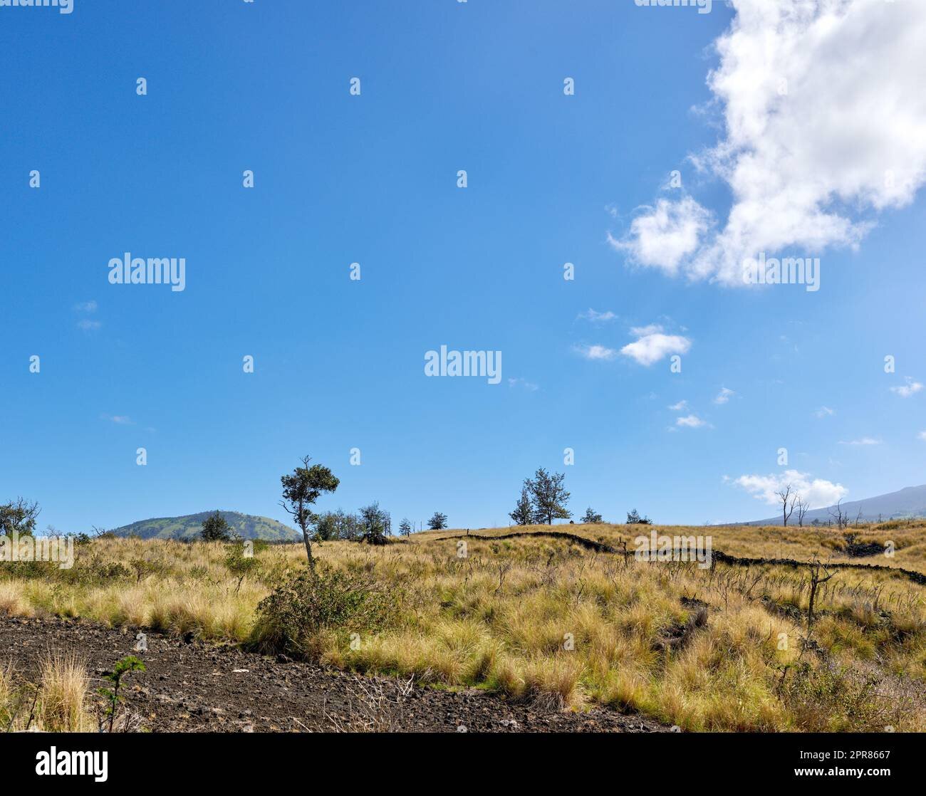 (Habrá una extensión)