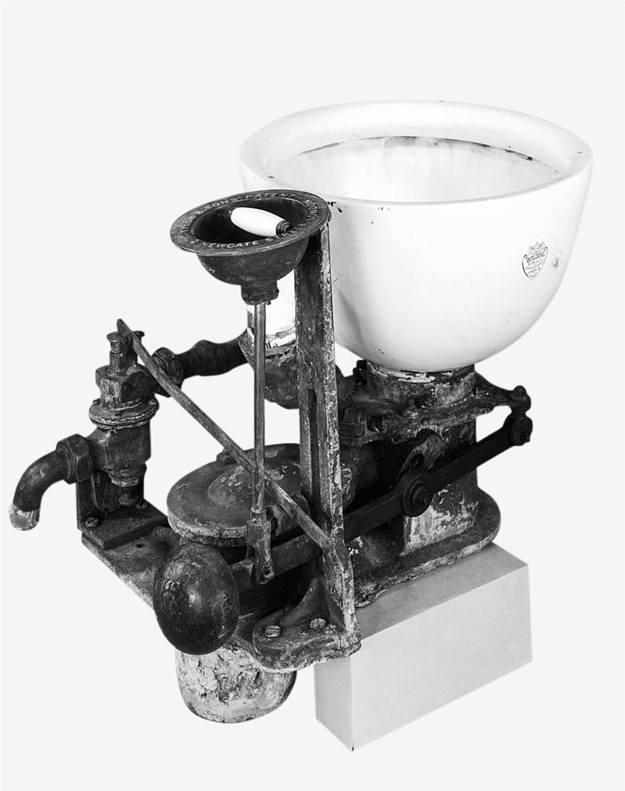 Inodoros vacunados que "tomaron todas las precauciones"