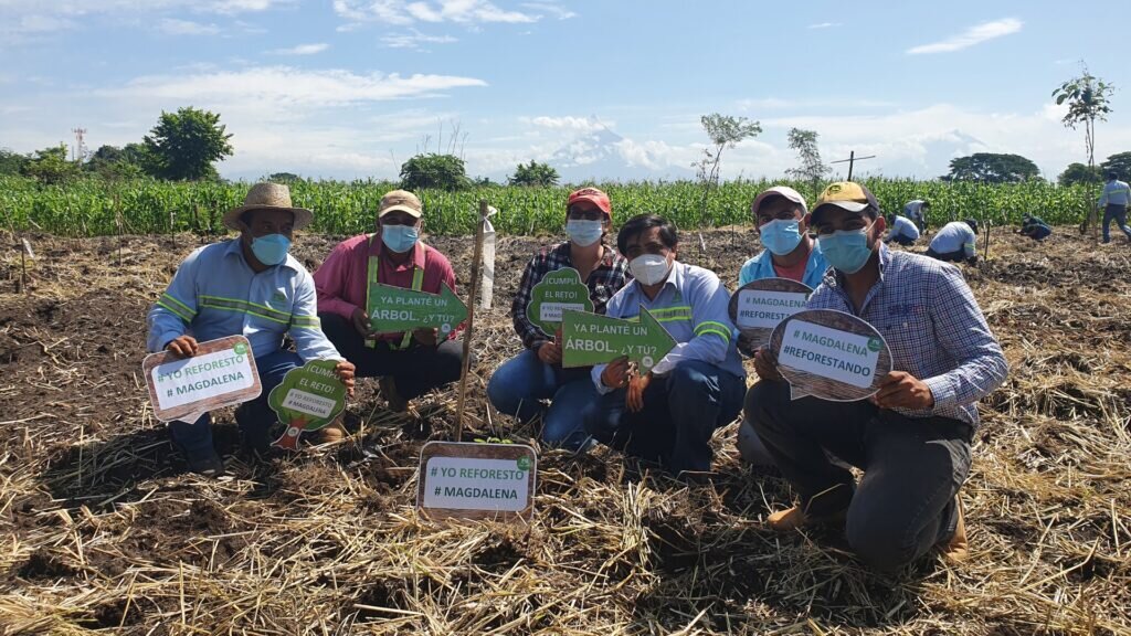 La fiesta reforestará <strong>parcela rústica en Tolbaños