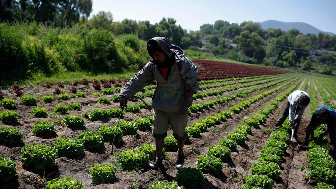 La gestión y prevención del medio rural ya supone la mitad de un presupuesto histórico