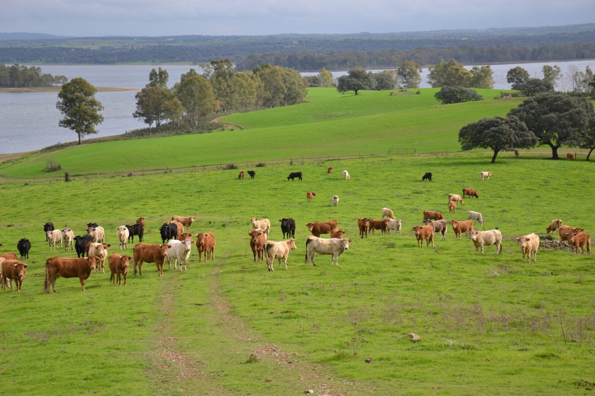 La nueva ley promueve actividades agrícolas y ganaderas en zonas de riesgo