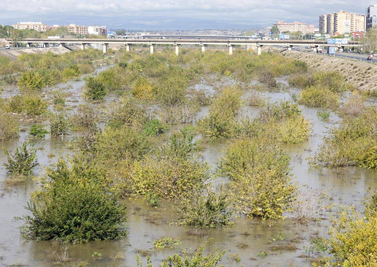 La paella más grande del mundo se cocinó en el Turia 