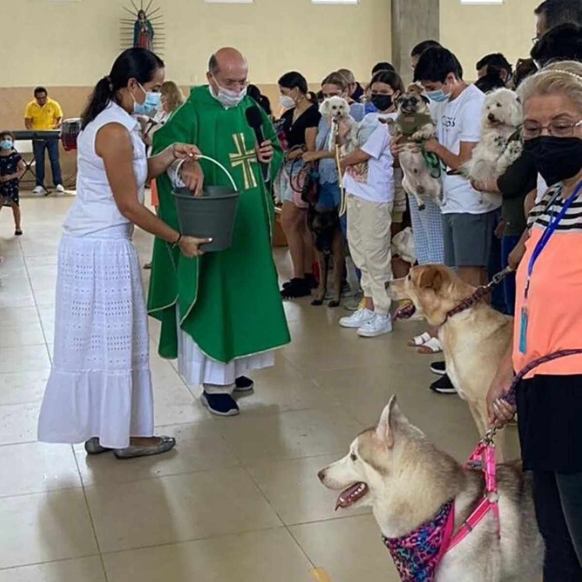 Las bendiciones de los animales se llevarán a cabo.