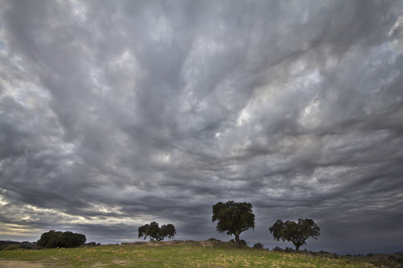 Las lluvias afectarán a Andalucía occidental