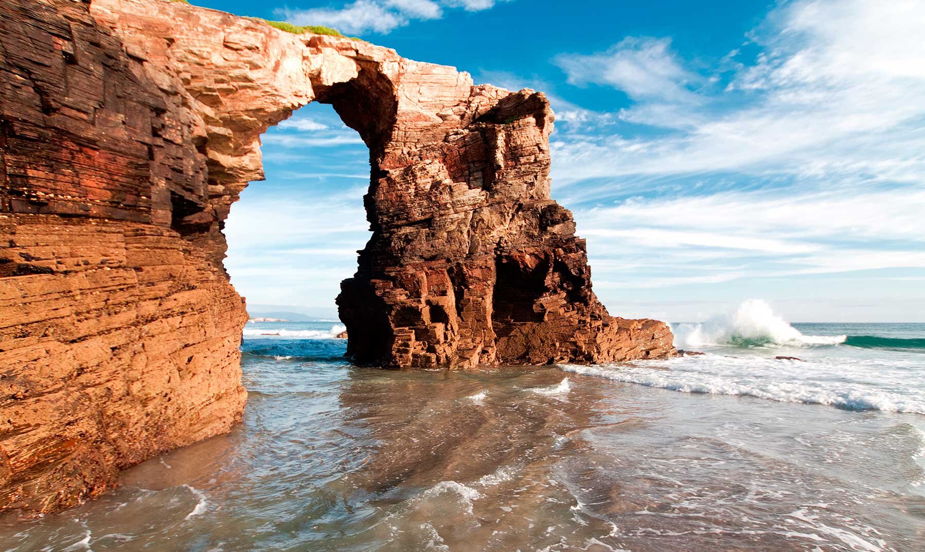 Los primeros datos del estudio de la Xunta confirman una evolución positiva de la especie en la comunidad, con una presencia generalizada en toda Galicia.