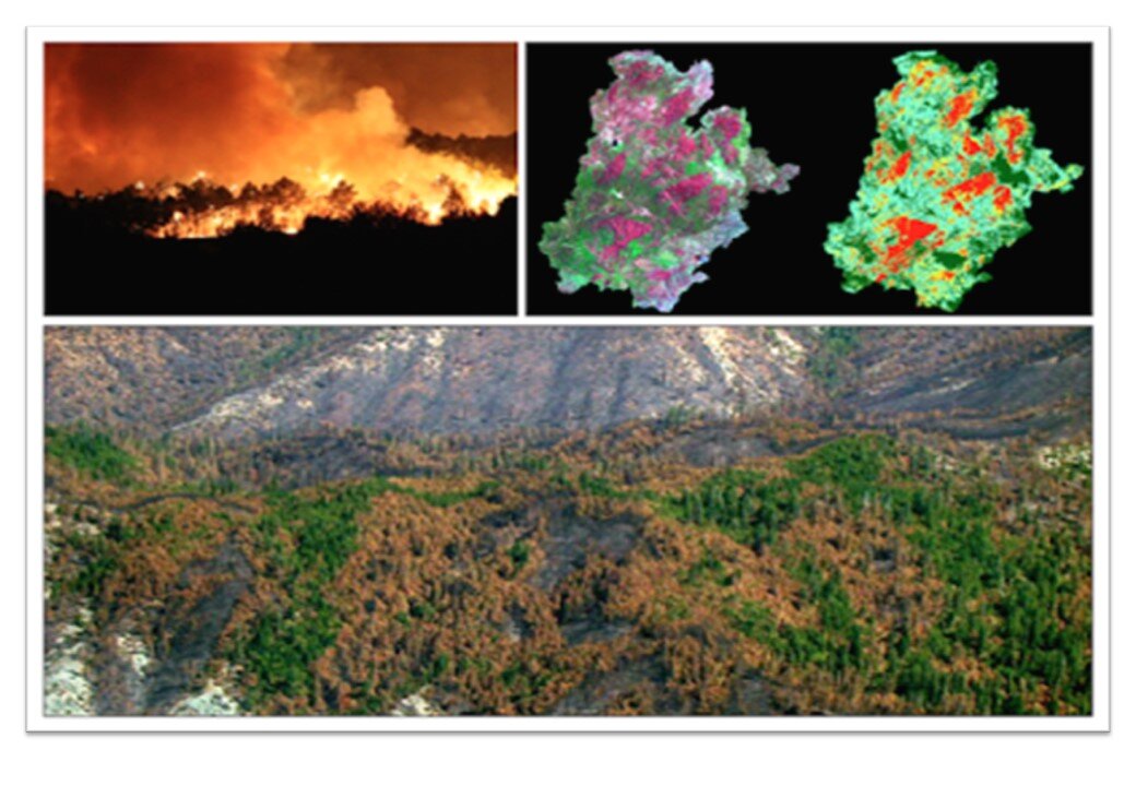Los técnicos utilizan una aplicación para examinar áreas con riesgo de incendio