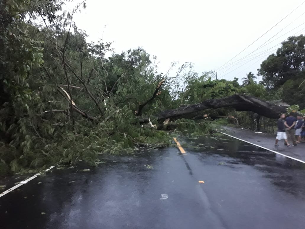 Muchas carreteras todavía están bloqueadas