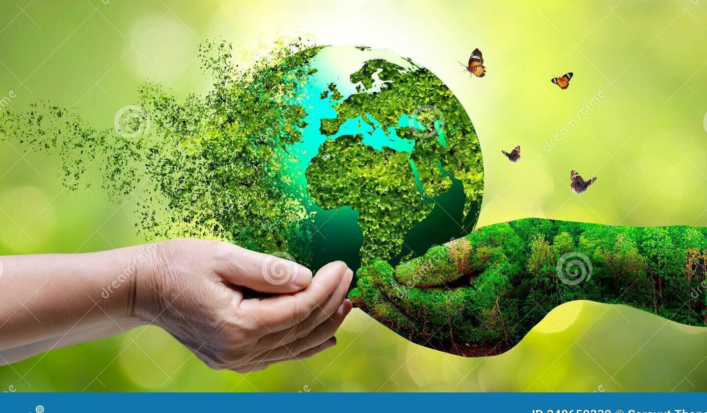 NUEVO FONDO DE COMPENSACIÓN AMBIENTAL