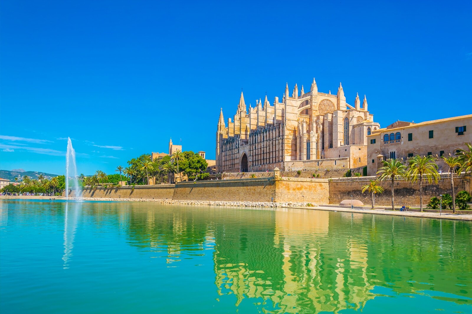 PALMA, 24 (EUROPE PRESS)