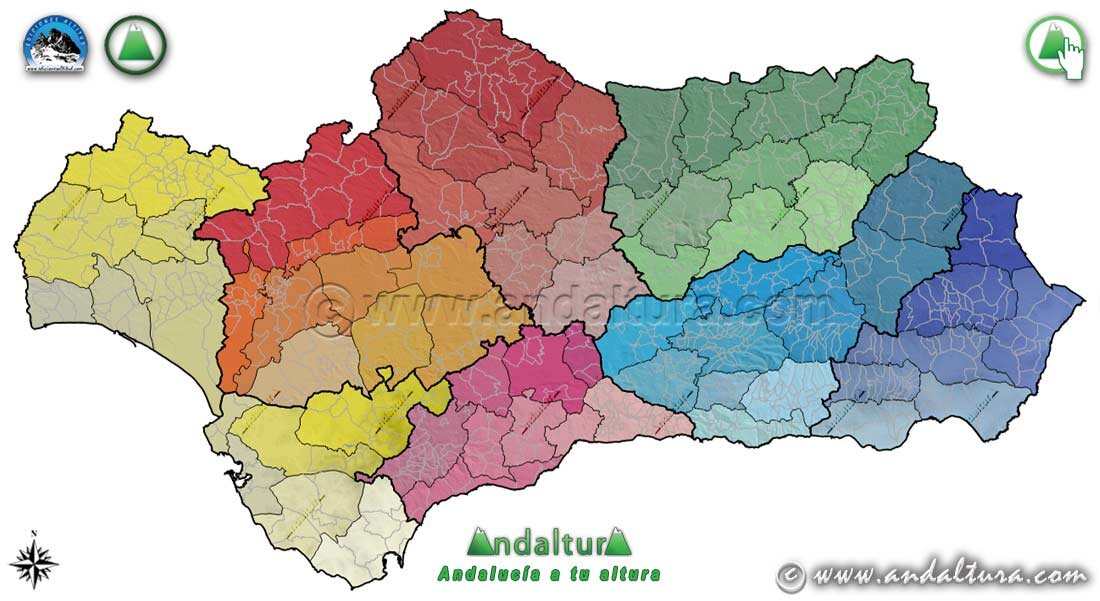 Por provincias, Málaga es la que más contagios tiene, con 929, seguida de Cádiz con 495