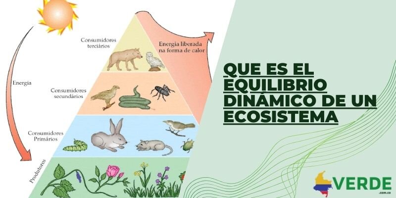 PROGRAMA DE DEPORTES