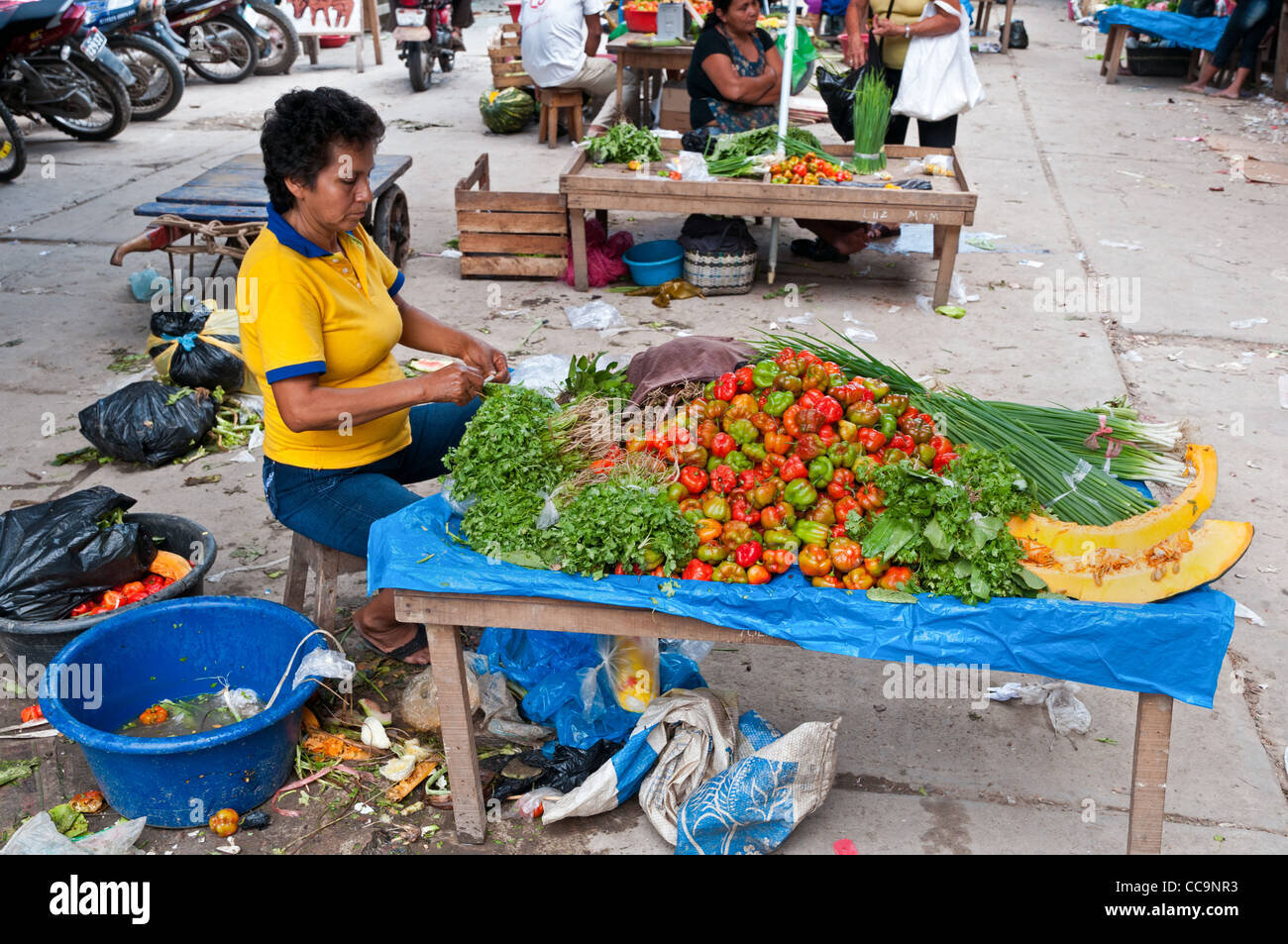 PROYECTO MERCADO DE SAN BLAS