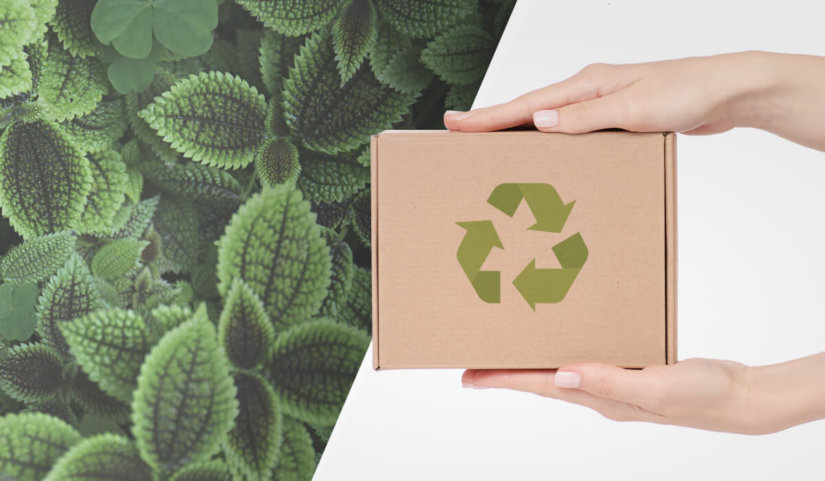 ¿Qué es el pienso elaborado de forma ecológica?