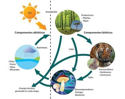 RELACIONES AMBIENTALES