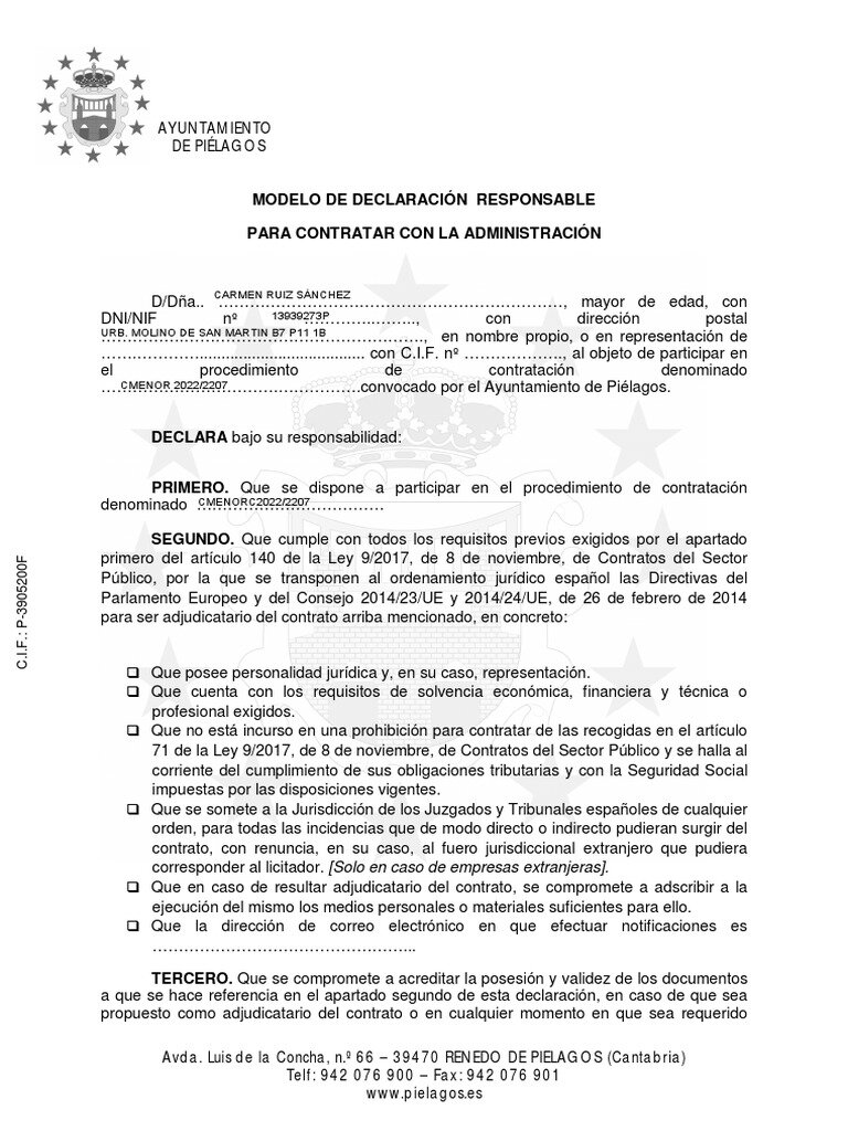 SE DEBE ADJUNTAR UNA DECLARACIÓN DE RESPONSABILIDAD