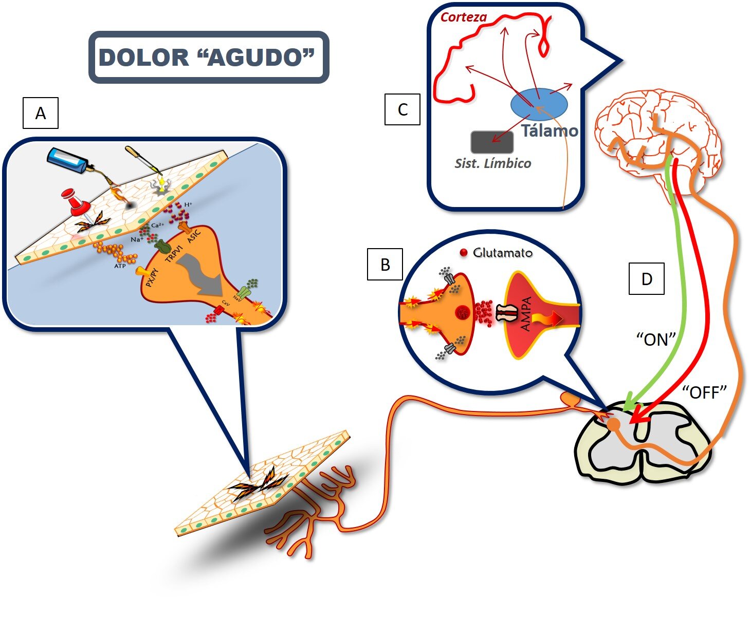 SENSIBILIZACIÓN CIUDADANA