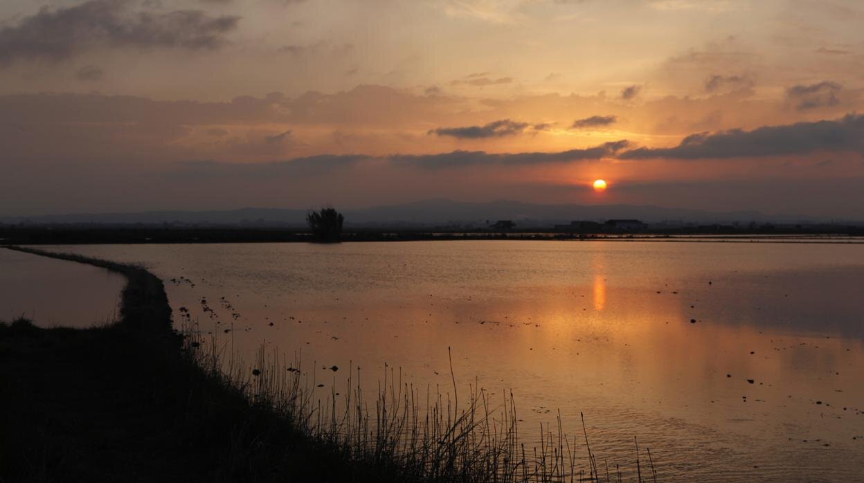 <strong>Comunidad Valenciana: