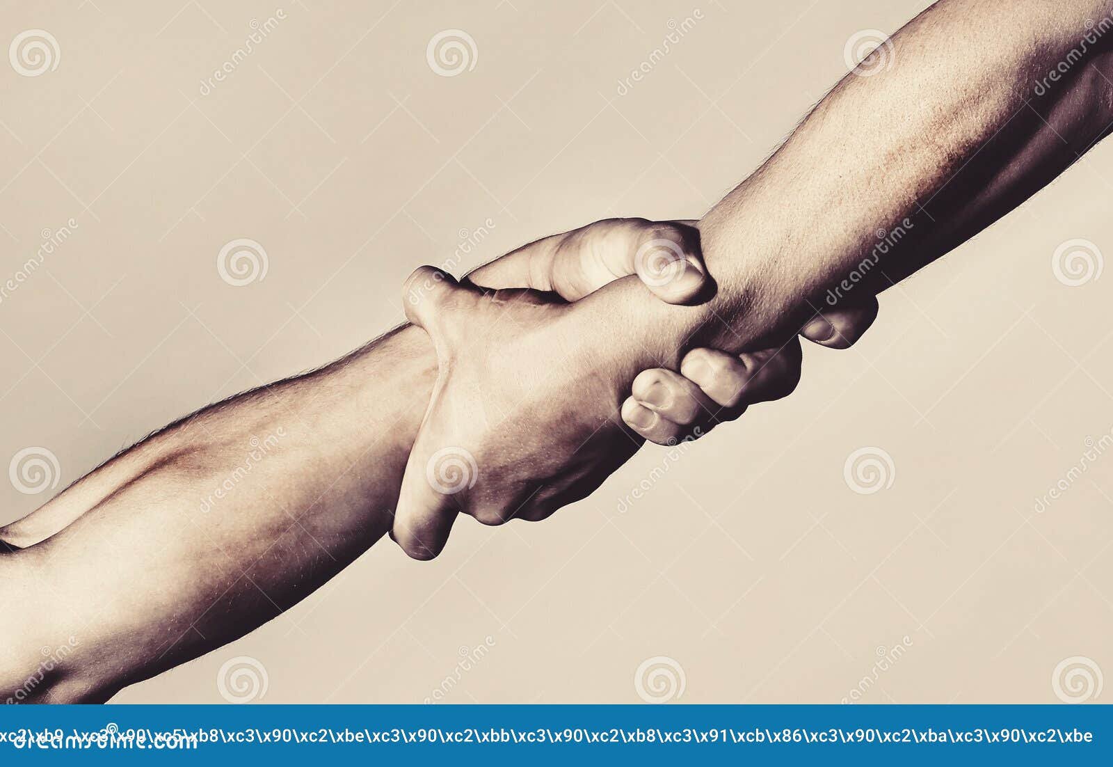 <strong>Contacto