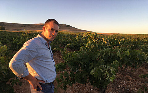 <strong>Viñedos Francisco Barona