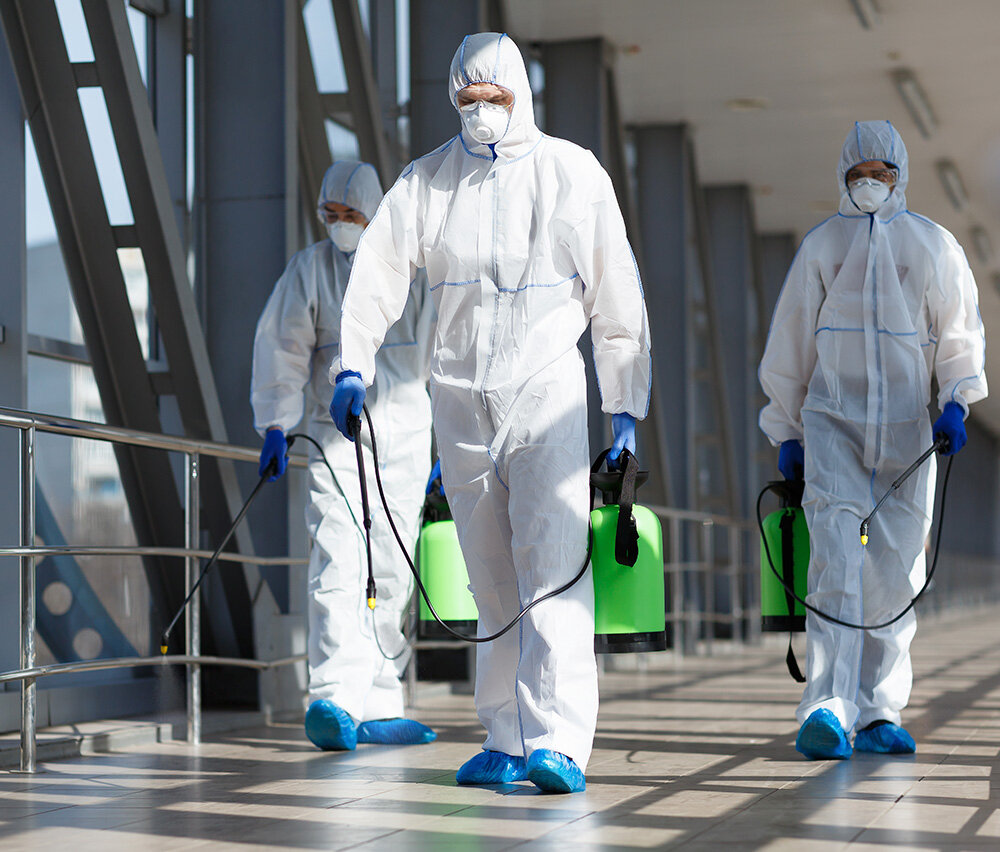 ¡También tienen desinfección como parte de sus servicios!