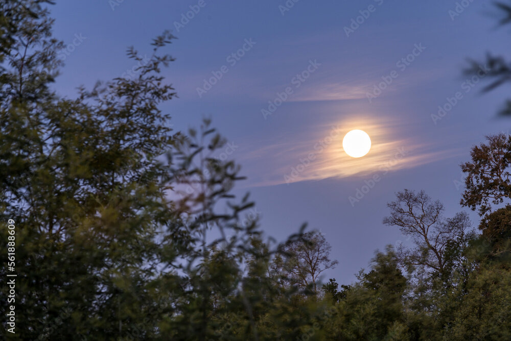 Te atacaron al anochecer el pasado domingo en la rectoría de Mondego