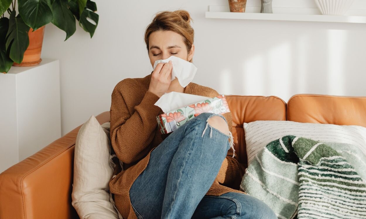 TEMPORADA PREVIA A LA GRIPE