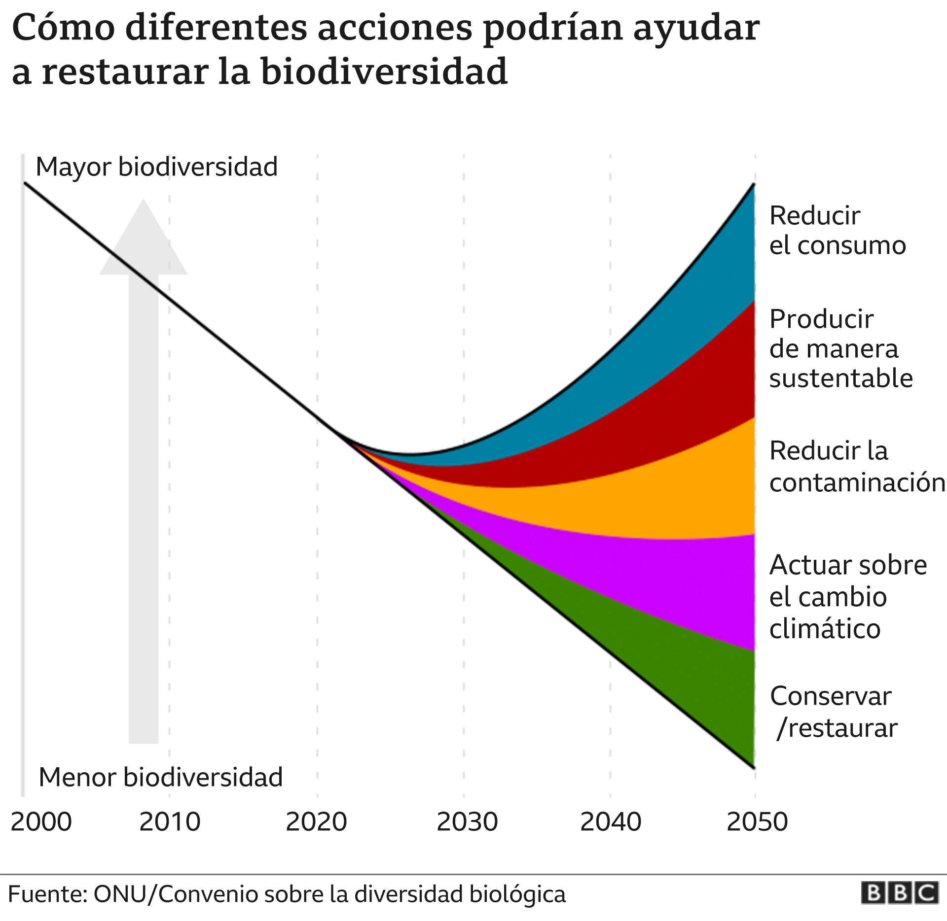 UN 3,8% MENOS QUE SIN APLICAR LA MEDIDA