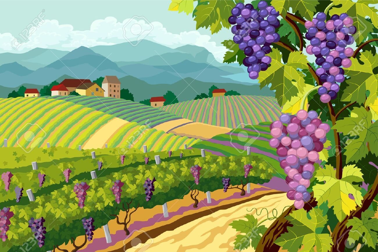 'VIÑEDOS DE ALAVA'