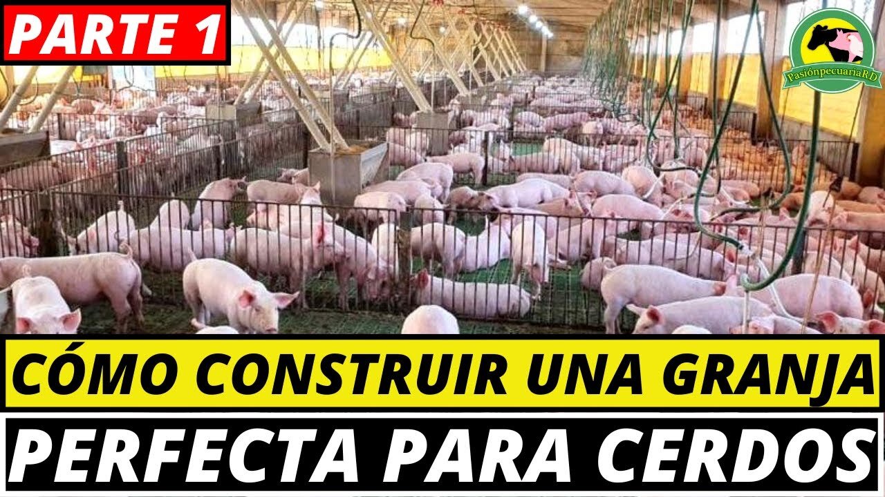 15.000 kilos al año de chuletas